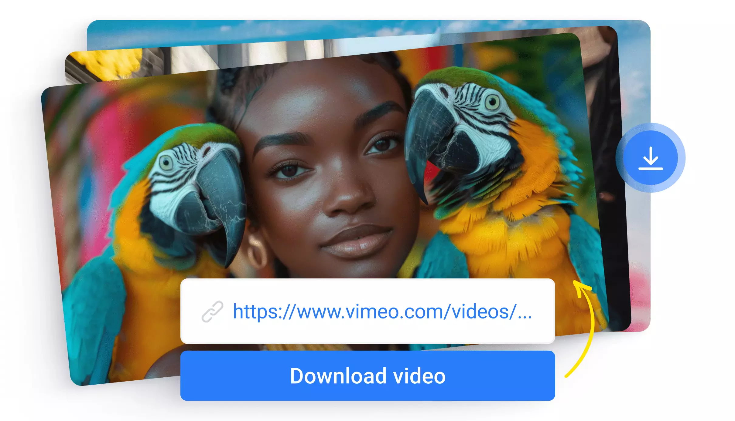 Online Vimeo Downloader Download and Edit Vimeo Videos Flixier