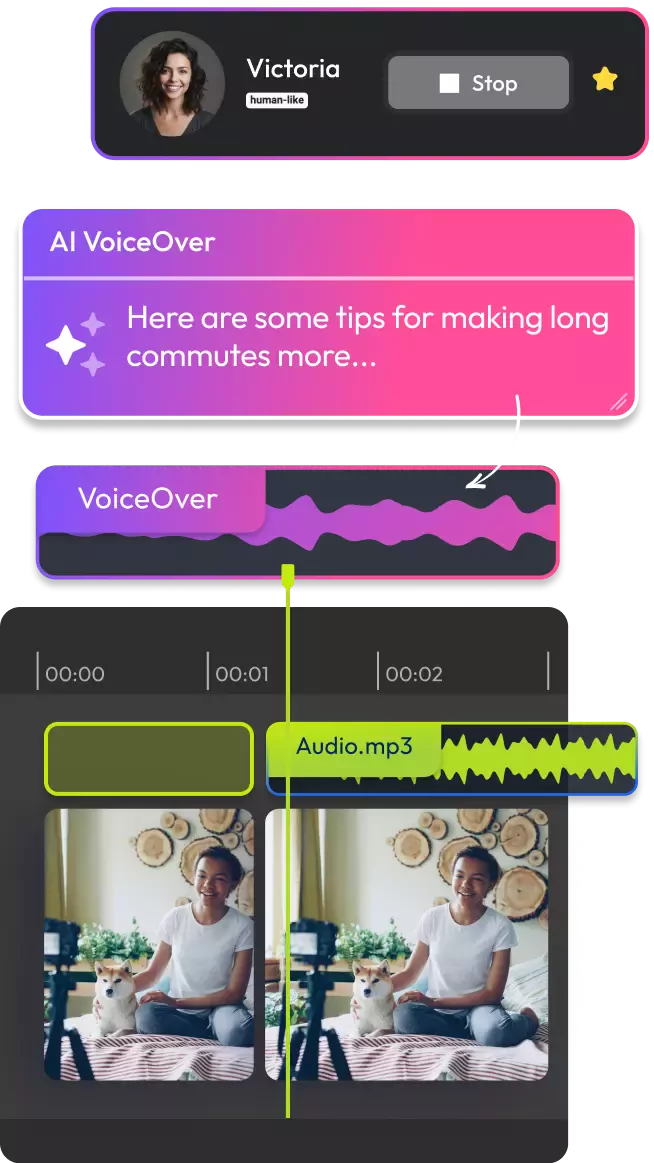 Add Voice to Video Without Recording