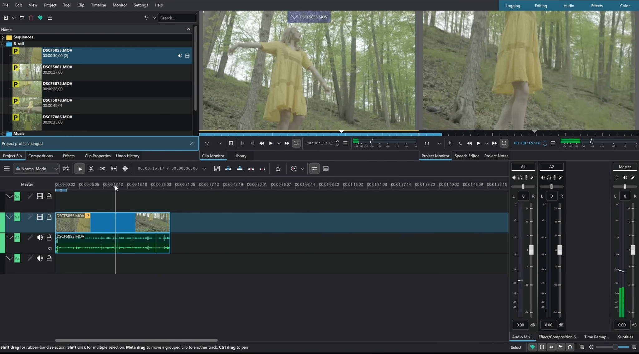kdenlive video editor no watermarks