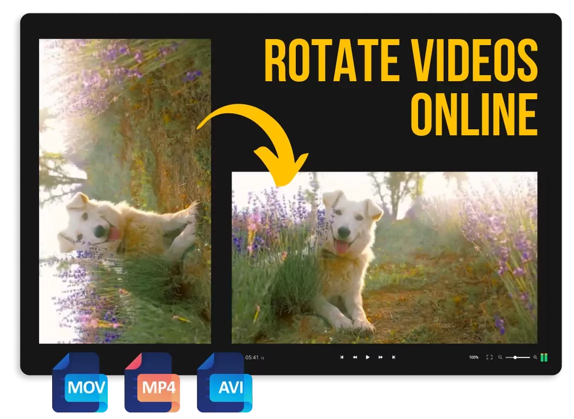 Gratis pornos mit tieren