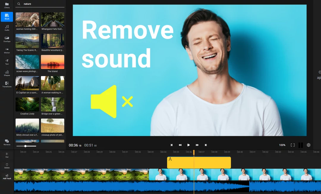 Easily remove audio from video